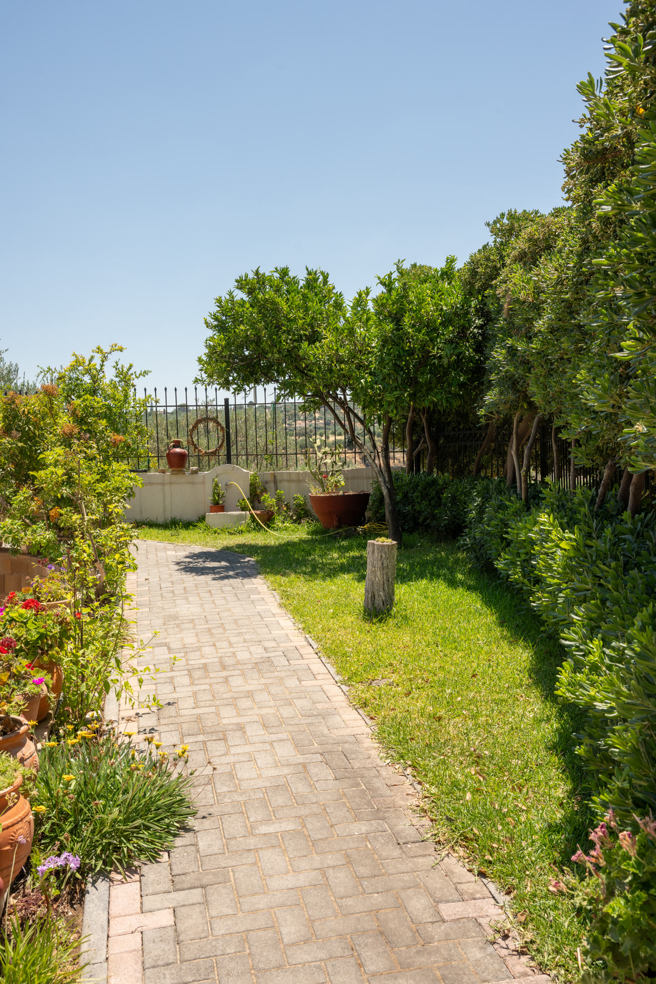 Paved garden path framed by shrubs and trees beside the house