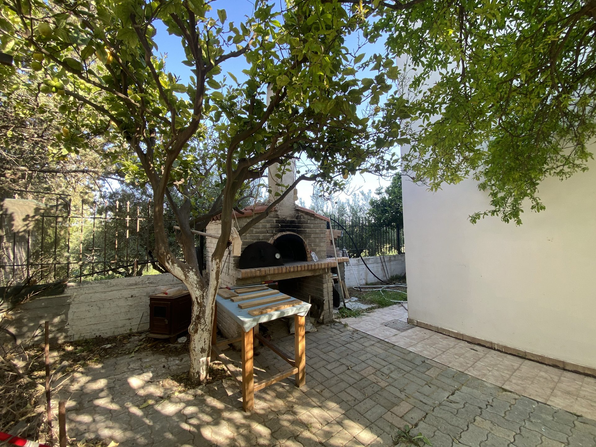 Traditional wood-fired oven beside a mature lemon tree in the garden